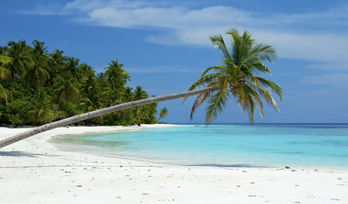 Best Of Andamans
