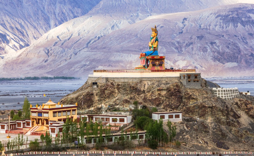 Amazing Ladakh Ex  Delhi