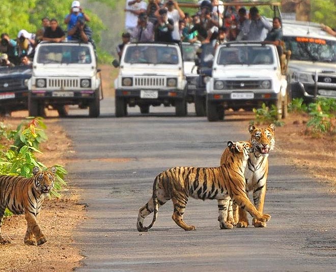 Escapada de fin de semana - Corbett