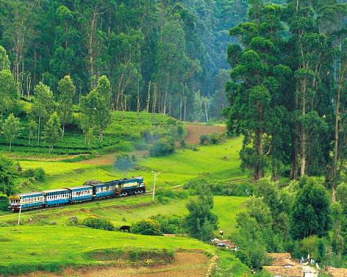 Víkendový útek - Ooty