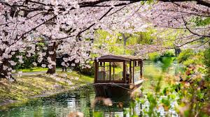Japan Cherry Blossom Indian Group Tour Package