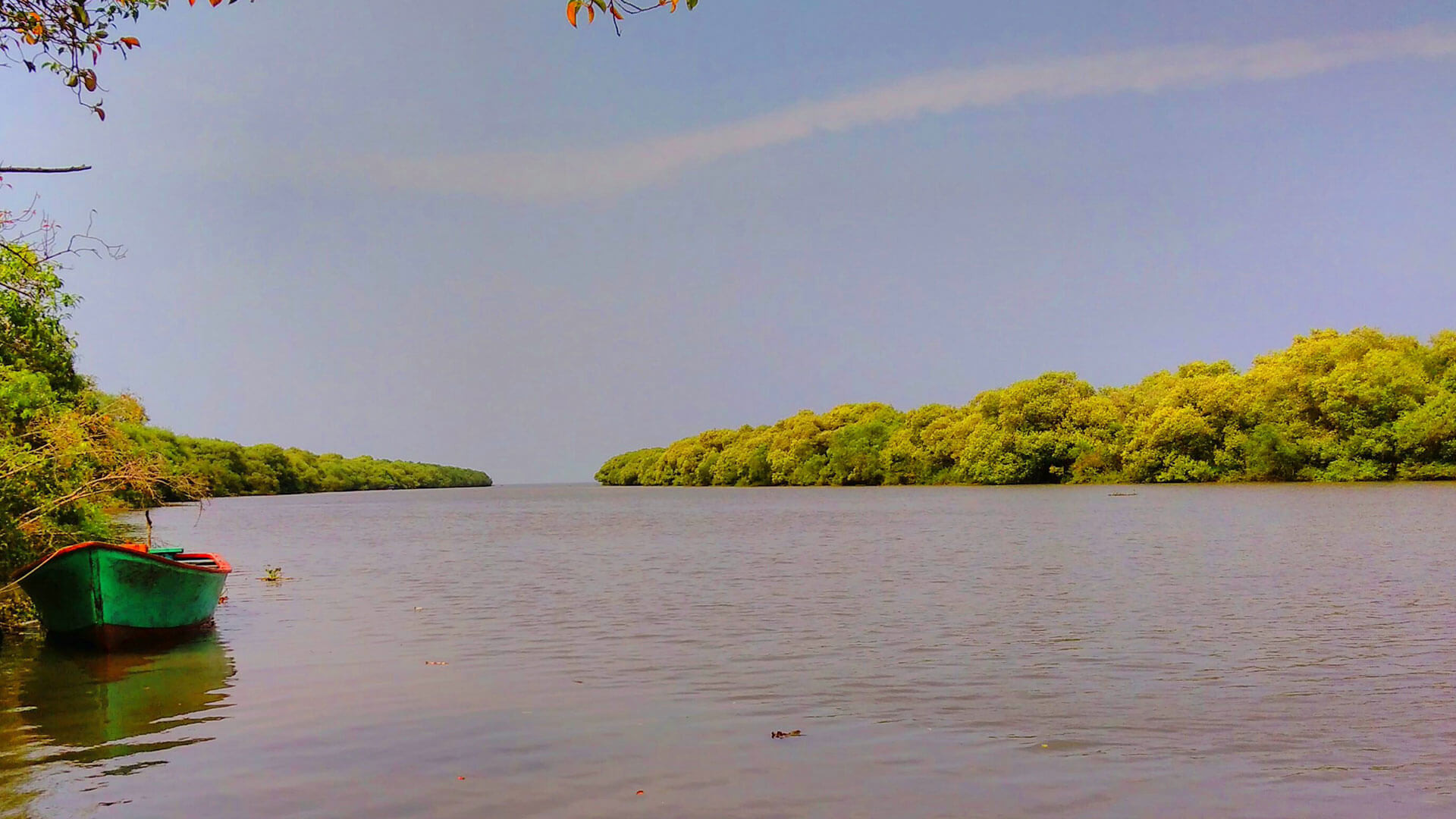 Coringa Widlife Sanctuary - History, Location, Details, Ticket Price, Timings | Adotrip Coringa Widlife Sanctuary - History, Location, Details, Ticket Price, Timings | Adotrip