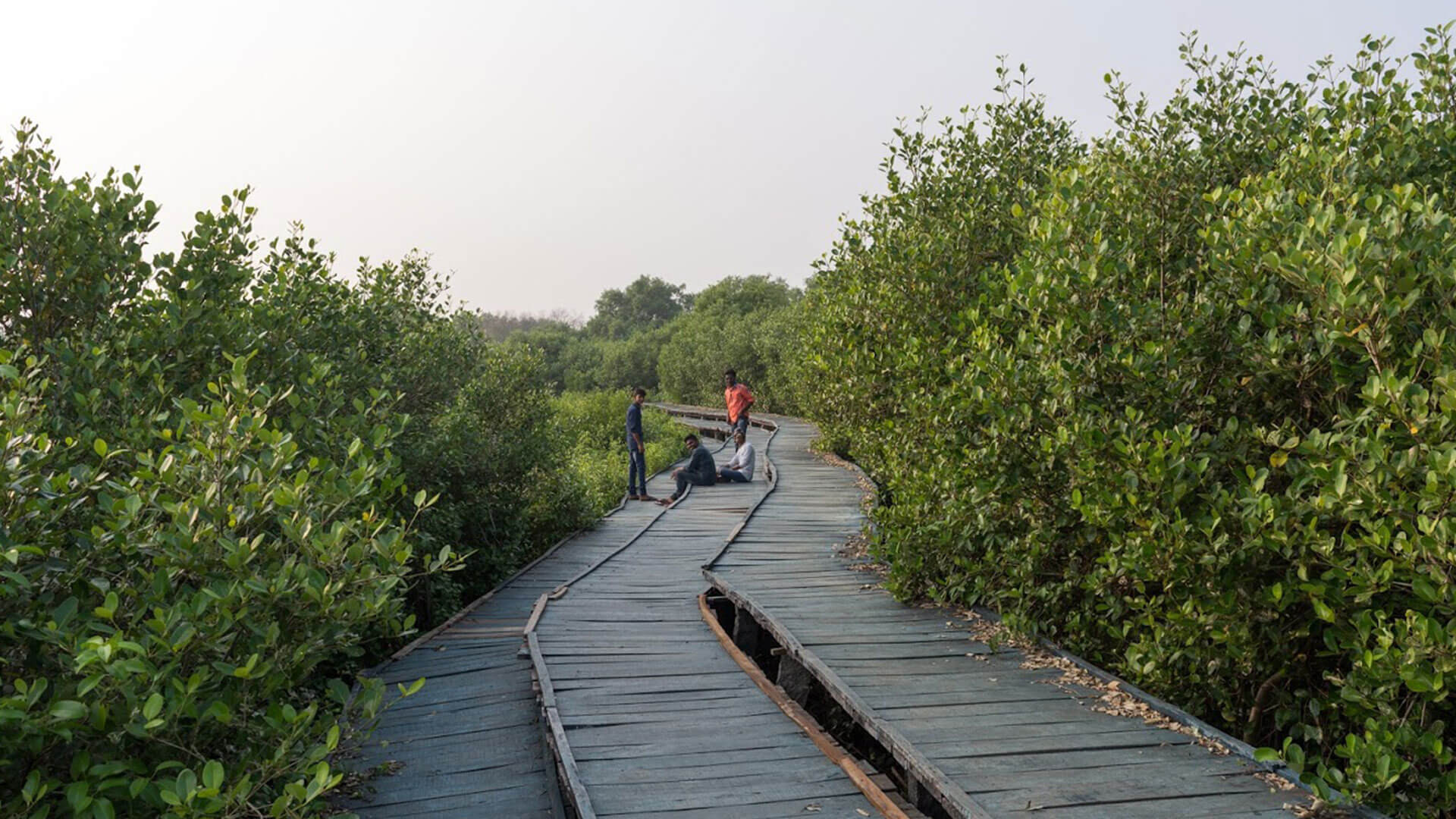 Coringa Widlife Sanctuary - History, Location, Details, Ticket Price, Timings | Adotrip Coringa Widlife Sanctuary - History, Location, Details, Ticket Price, Timings | Adotrip