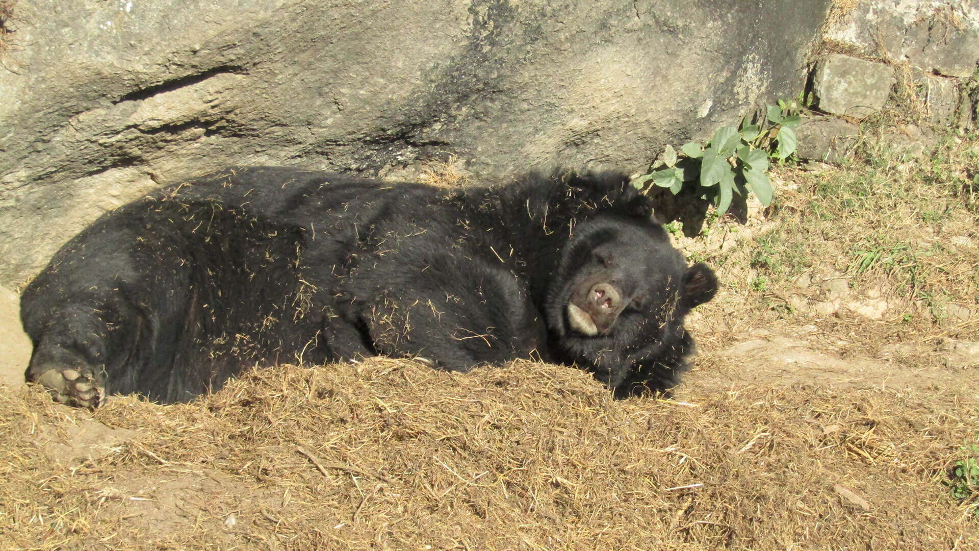 Gopalur Zoo - Tickets, Location, Timings, Photos | Adotrip Gopalur Zoo - Tickets, Location, Timings, Photos | Adotrip