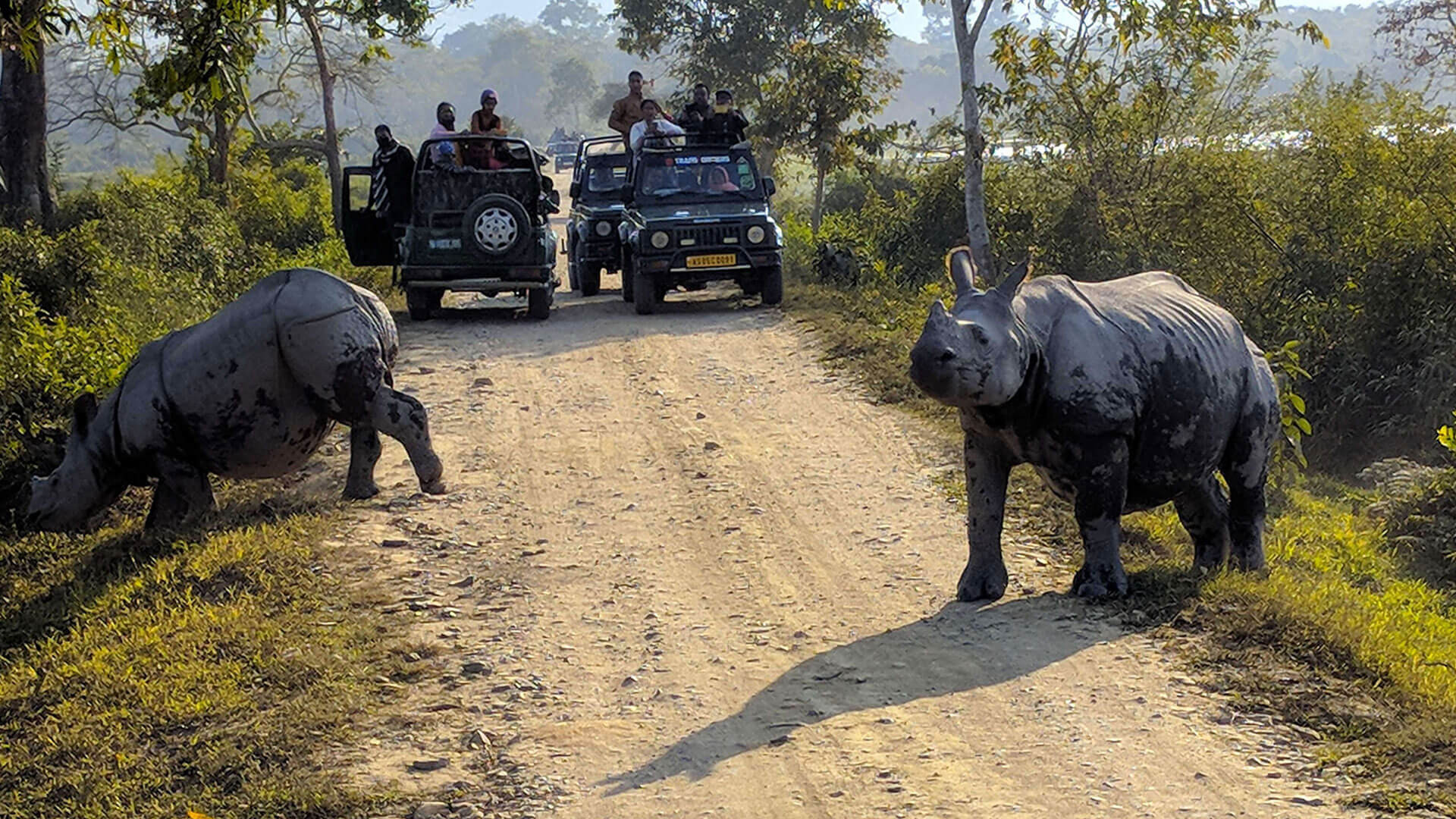 Kaziranga National Park - History, Location, Details, Ticket Price, Timings | Adotrip Kaziranga National Park - History, Location, Details, Ticket Price, Timings | Adotrip