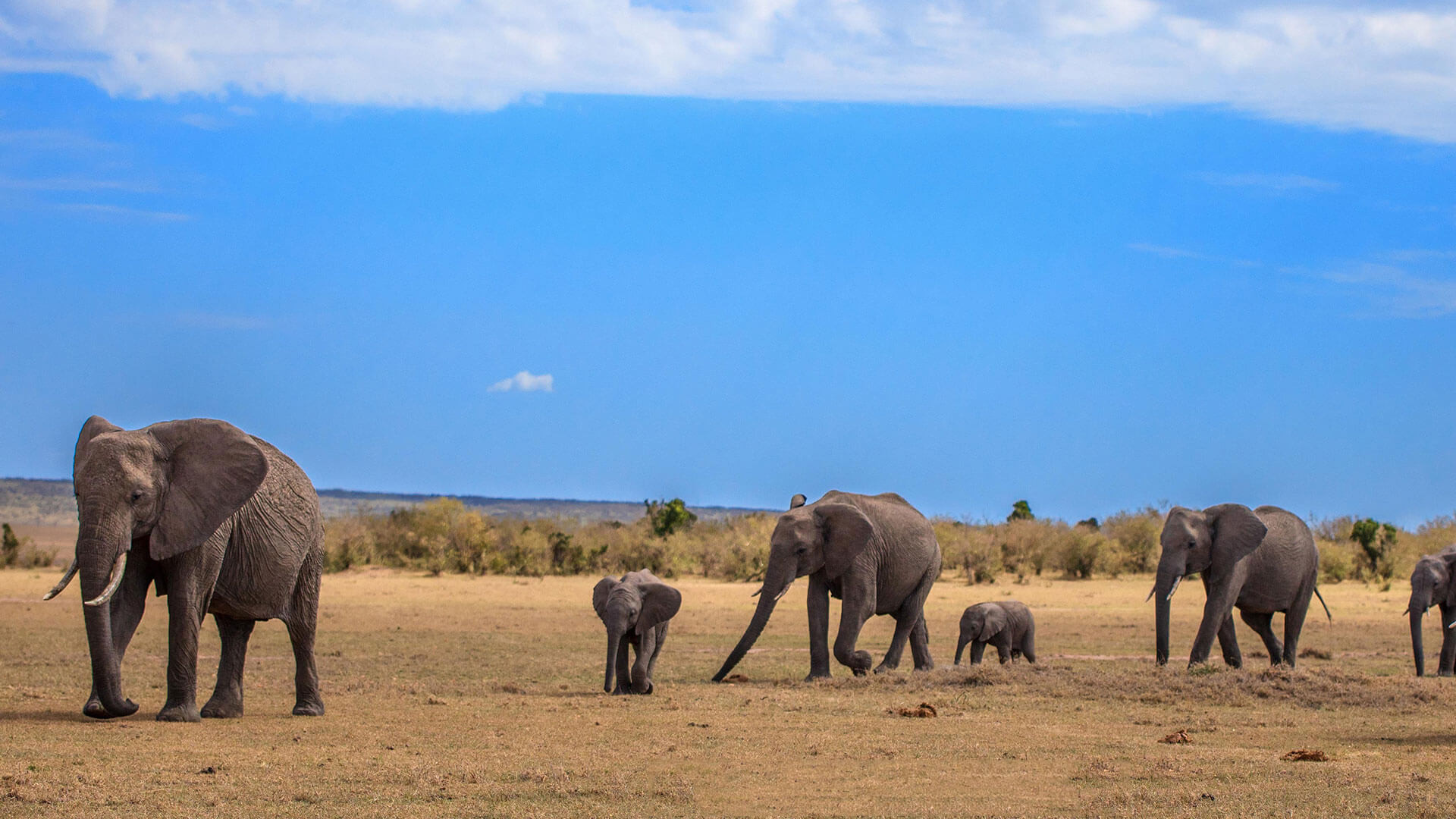 Gir_Attractions
