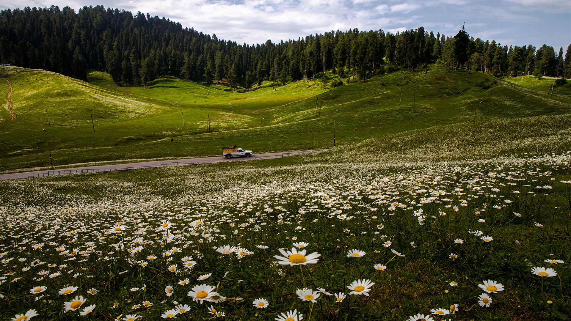 Gulmarg Jammu and Kashmir | Gulmarg Tourism | Adotrip