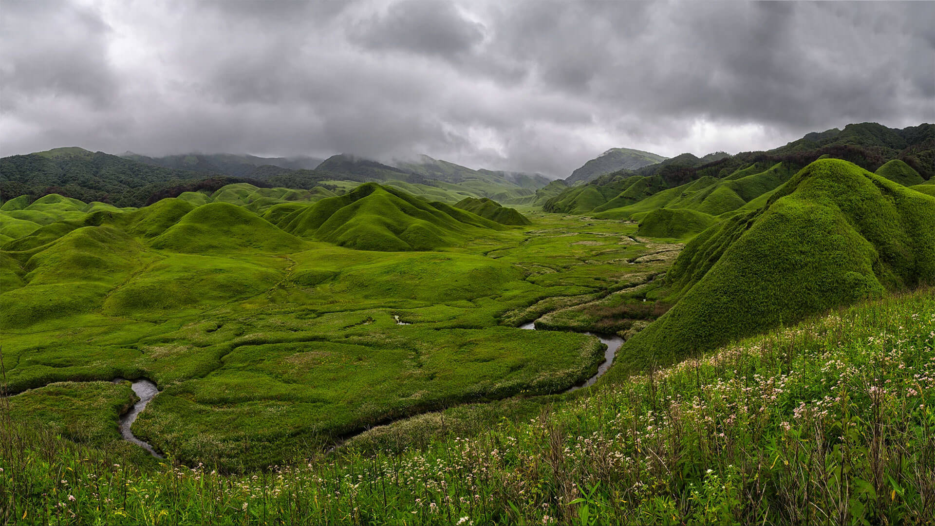 Dzukou_Valley_Attractions