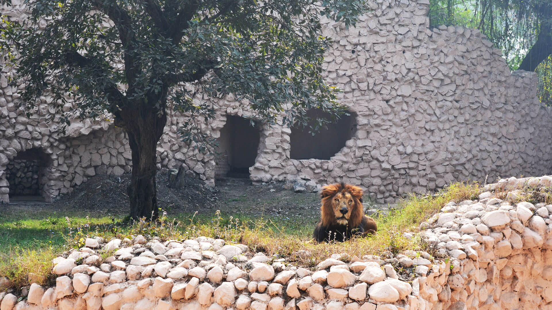 Lucknow_Zoo_Attractions