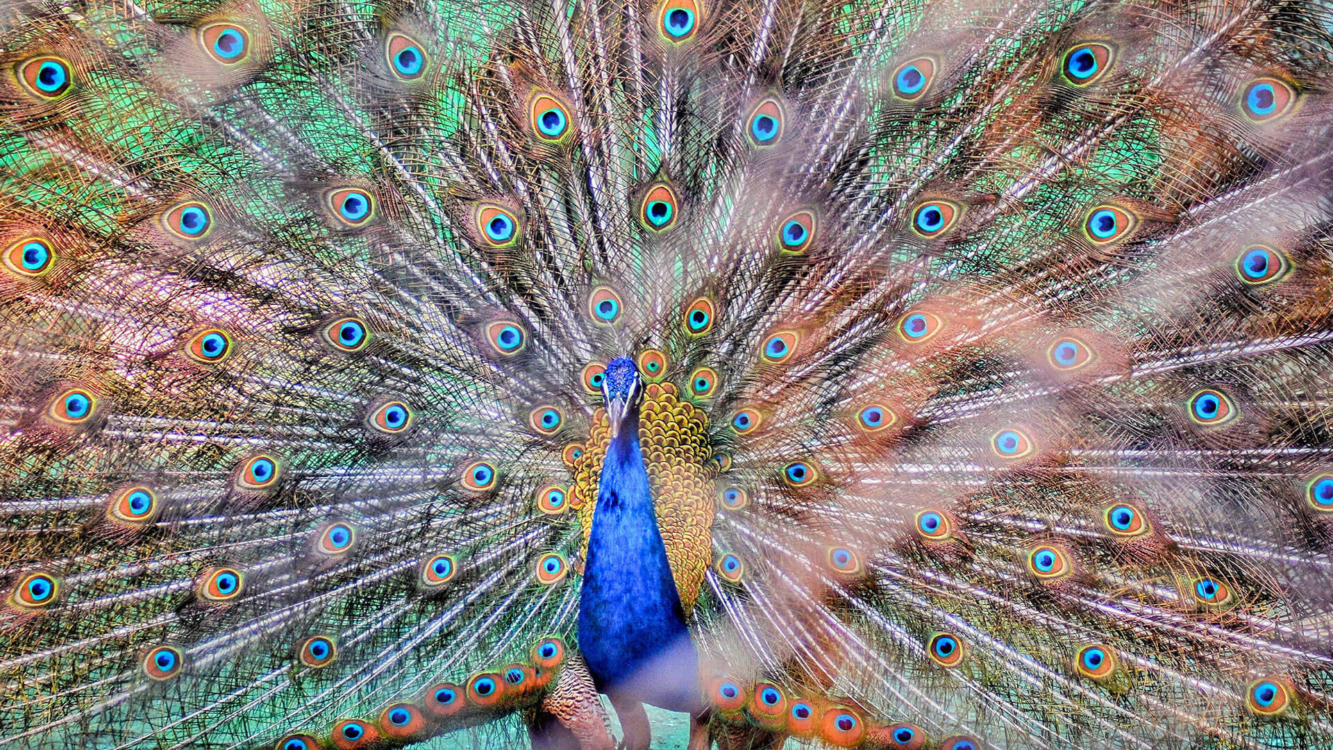 Gopalur Zoo - Tickets, Location, Timings, Photos | Adotrip Gopalur Zoo - Tickets, Location, Timings, Photos | Adotrip