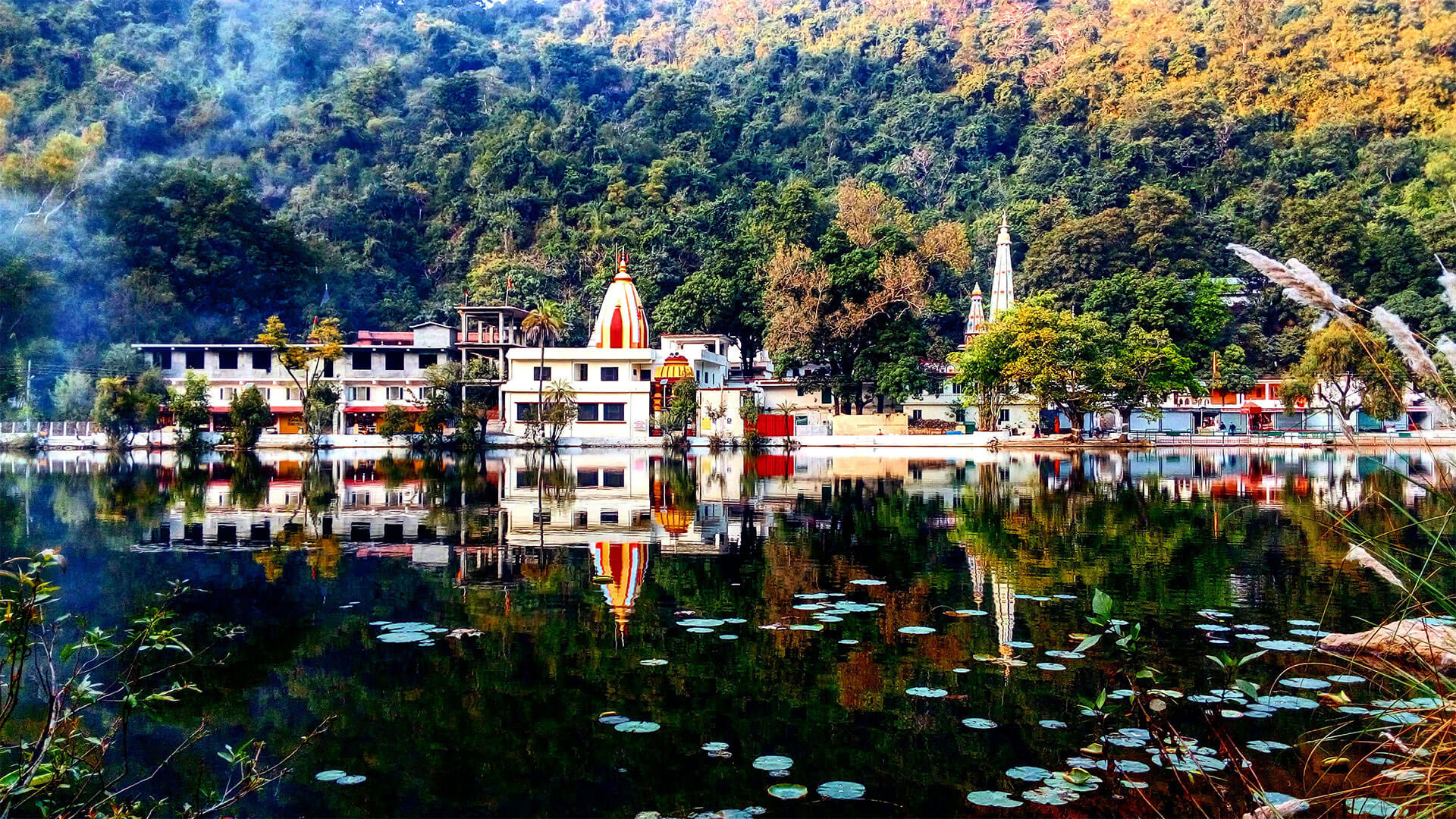 himachal tourism hotel renuka lake