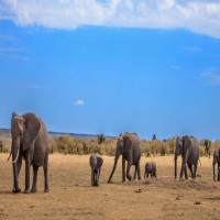 Gir_Attractions