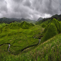 Dzukou_Valley_Attractions