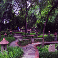 Garden_of_five_senses_Attractions