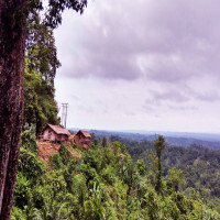 Dumboor_Attractions