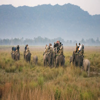 Kaziranga_National_Park_Attractions