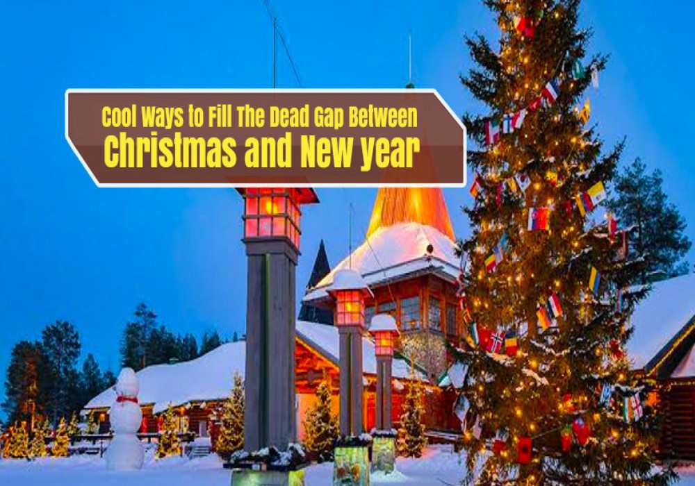 Christmas and New Year