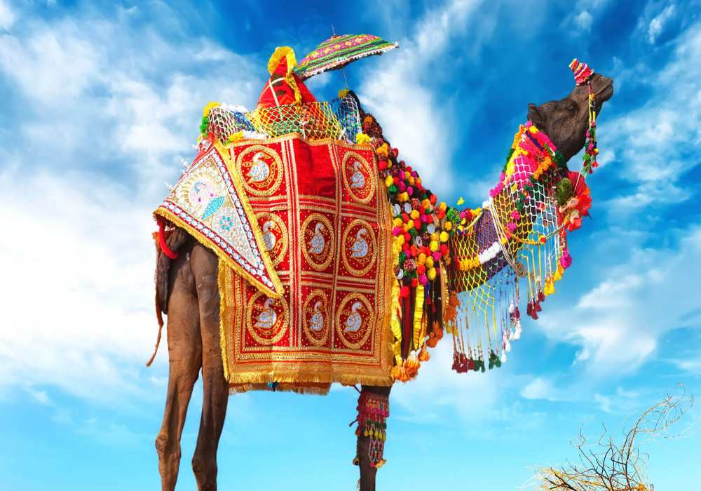 Gorgeous Pushkar Fair Rajasthan