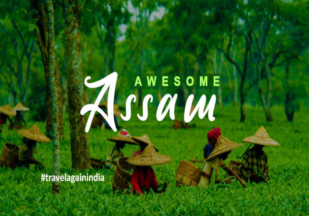 Awesome Assam