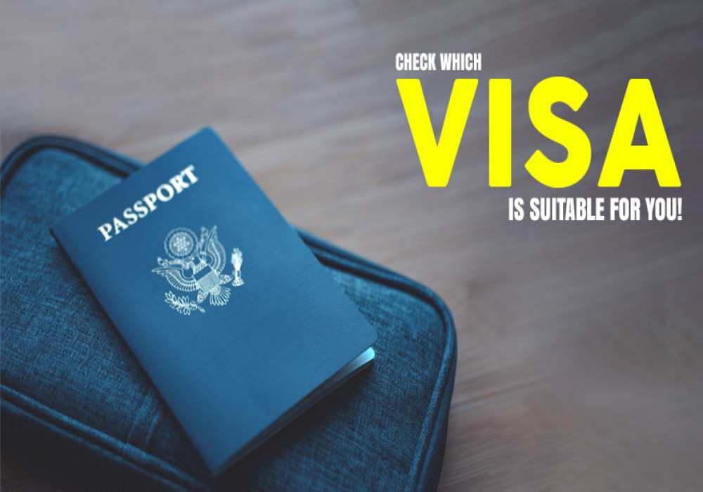 visa services