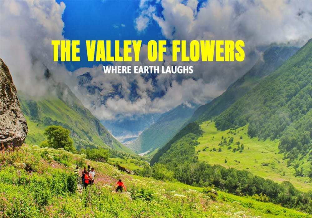Valley-Of-Flowers-Cover