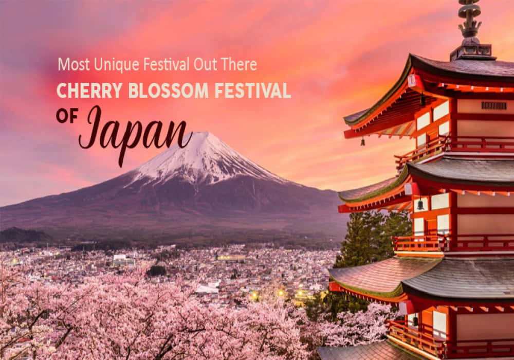 Cherry_Blossom_Festival_in_Japan