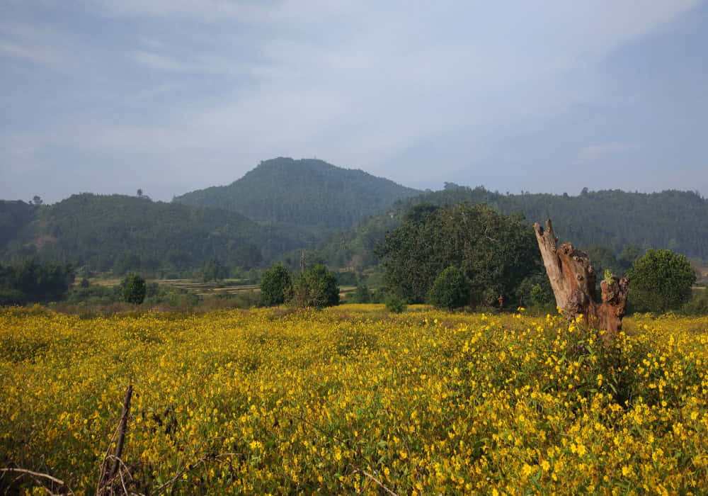 Daringbadi  Odisha Tourism
