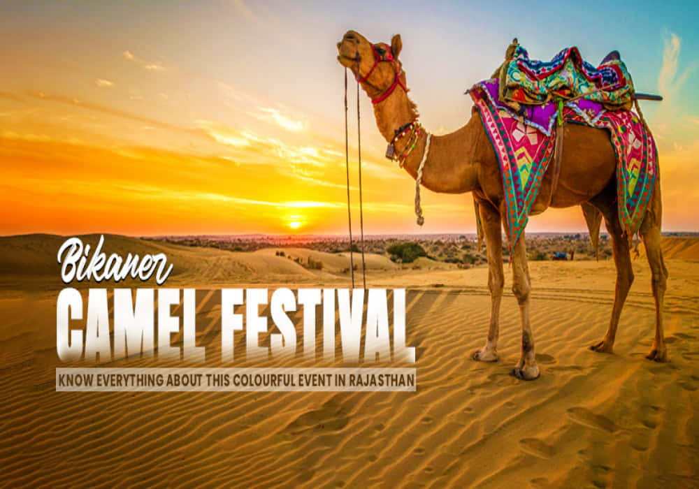 Bikaner Camel Festival in rajasthan