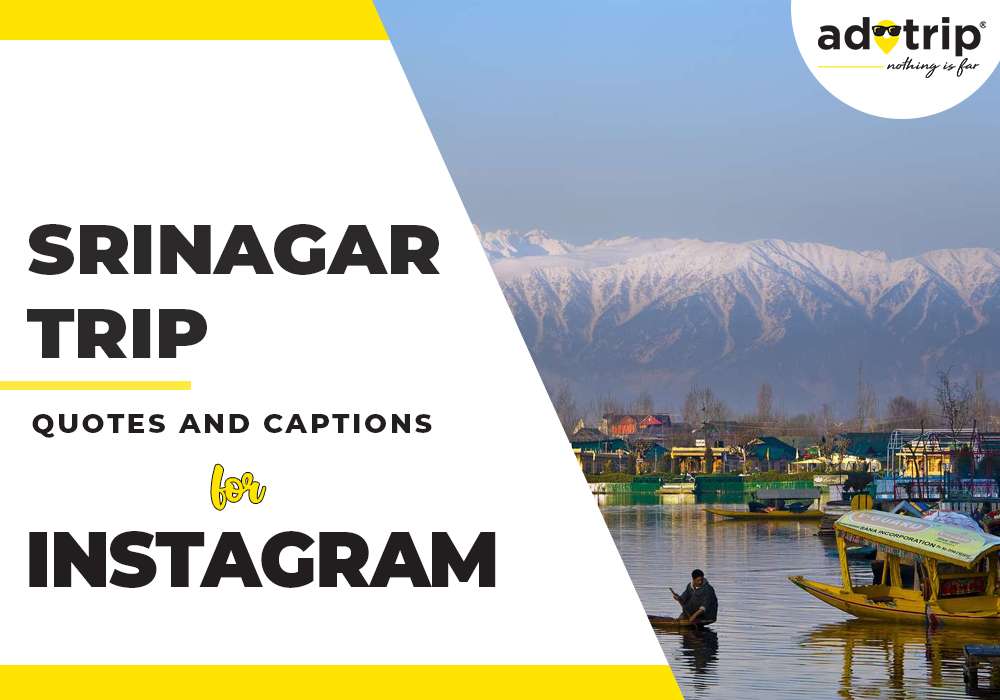 Srinagar Trip Quotes and Captions For Instagram