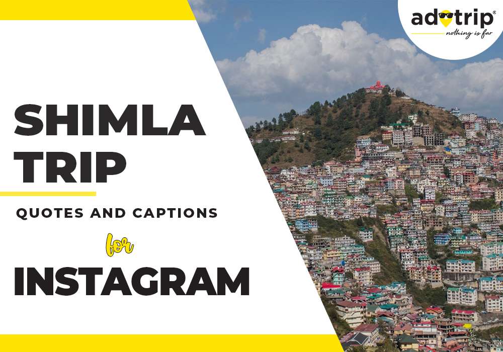 Shimla Trip Captions And Quotes For Instagram