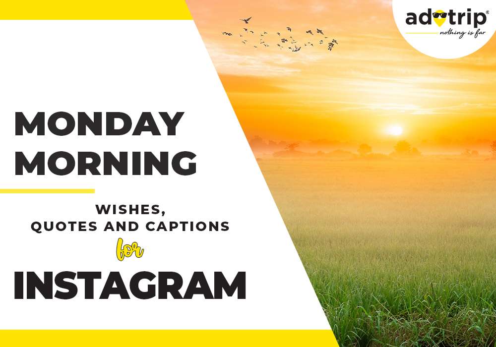 Monday Morning Quotes and Captions wishes For Instagram