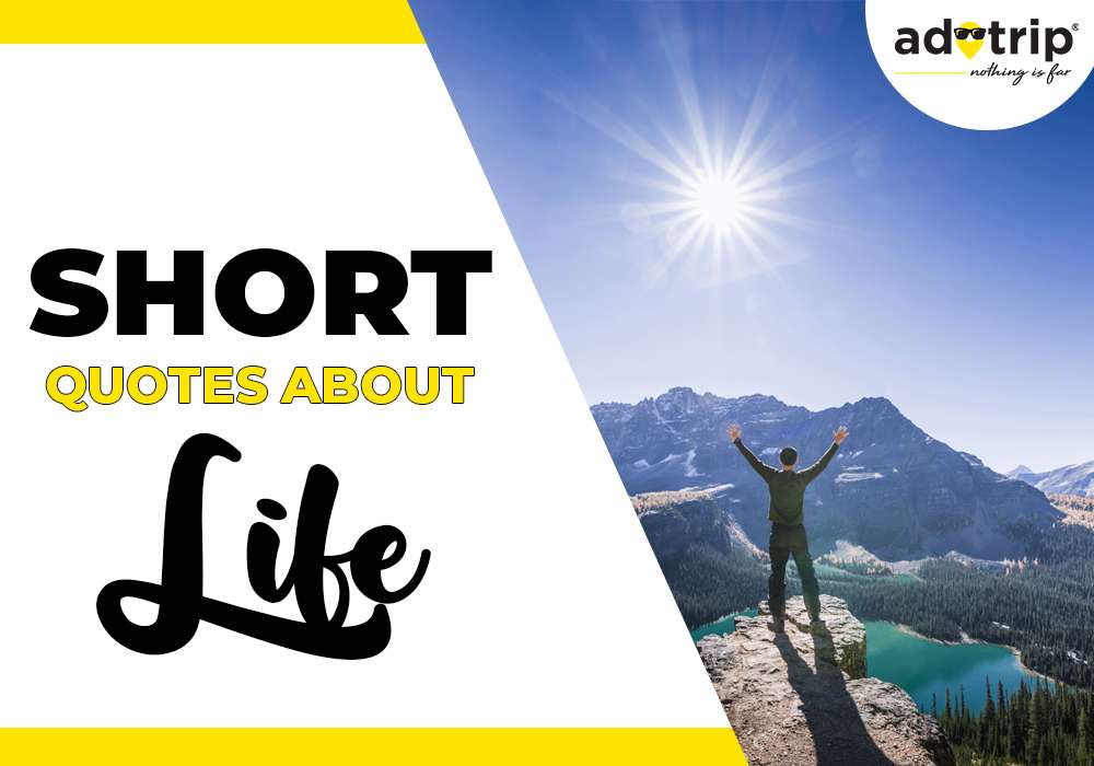 short quotes about life