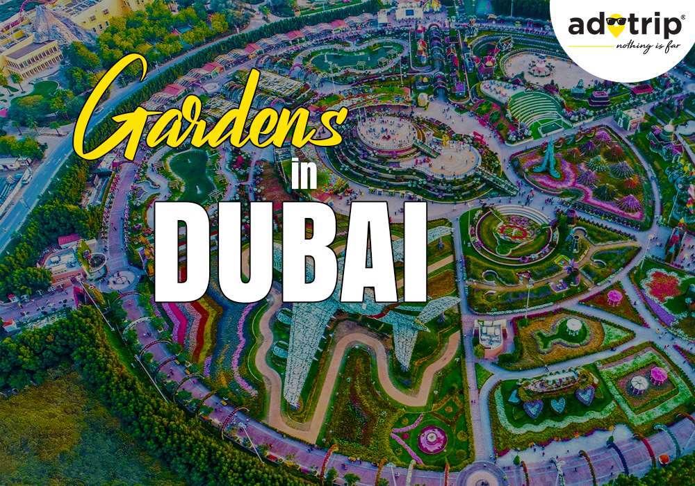 Beautiful Gardens in Dubai