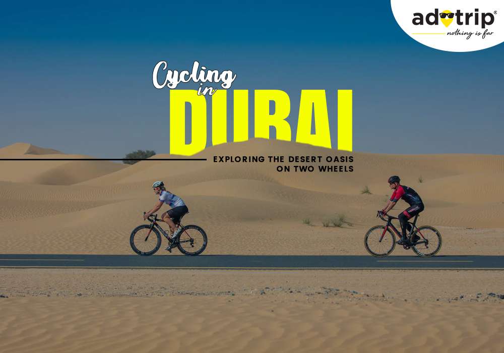 Best Cycling In Dubai