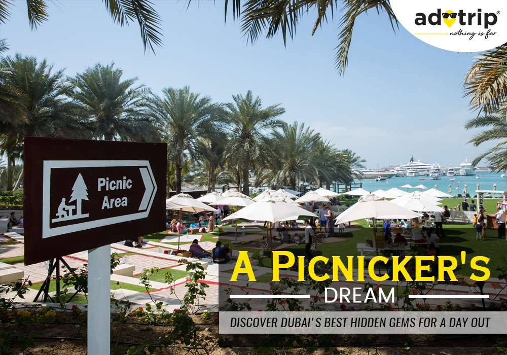 Picnic Spots in Dubai