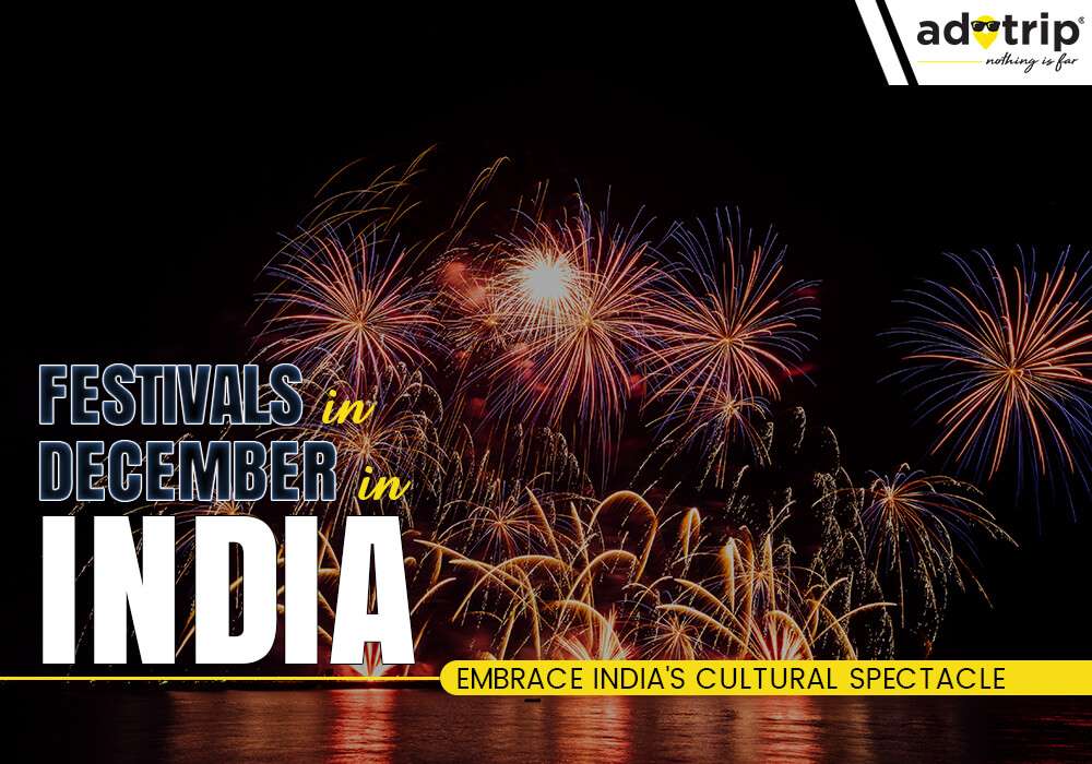 Festivals In December In India