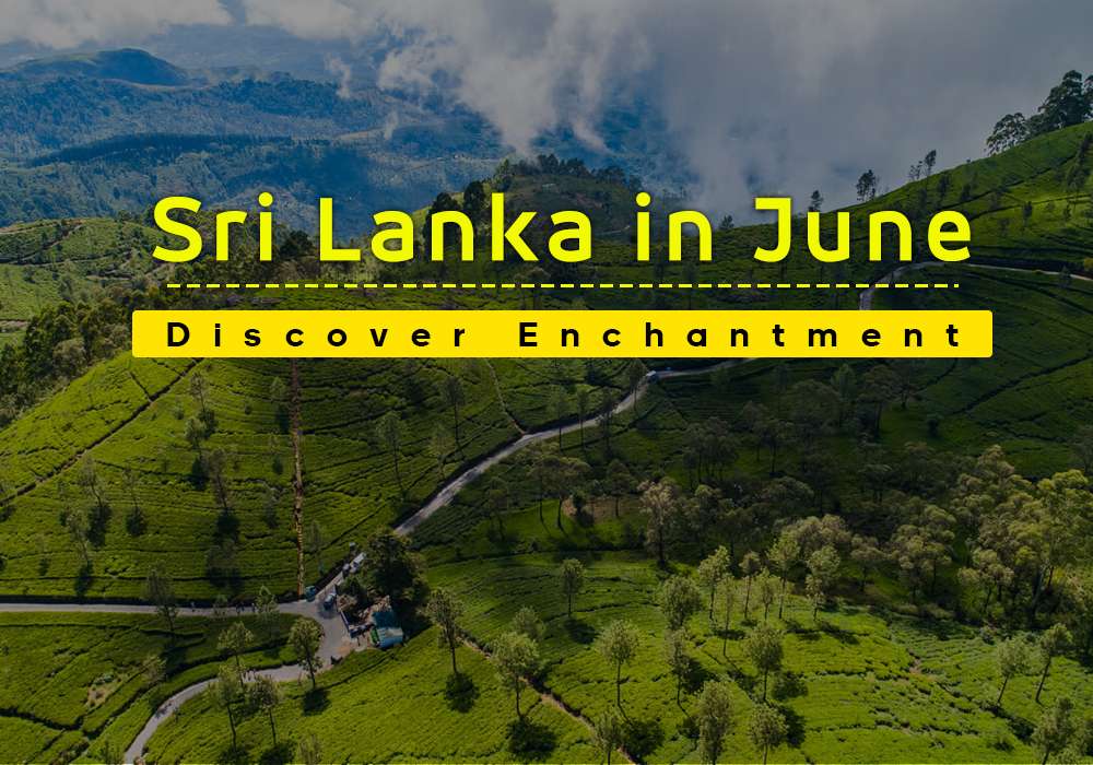 Sri Lanka in June