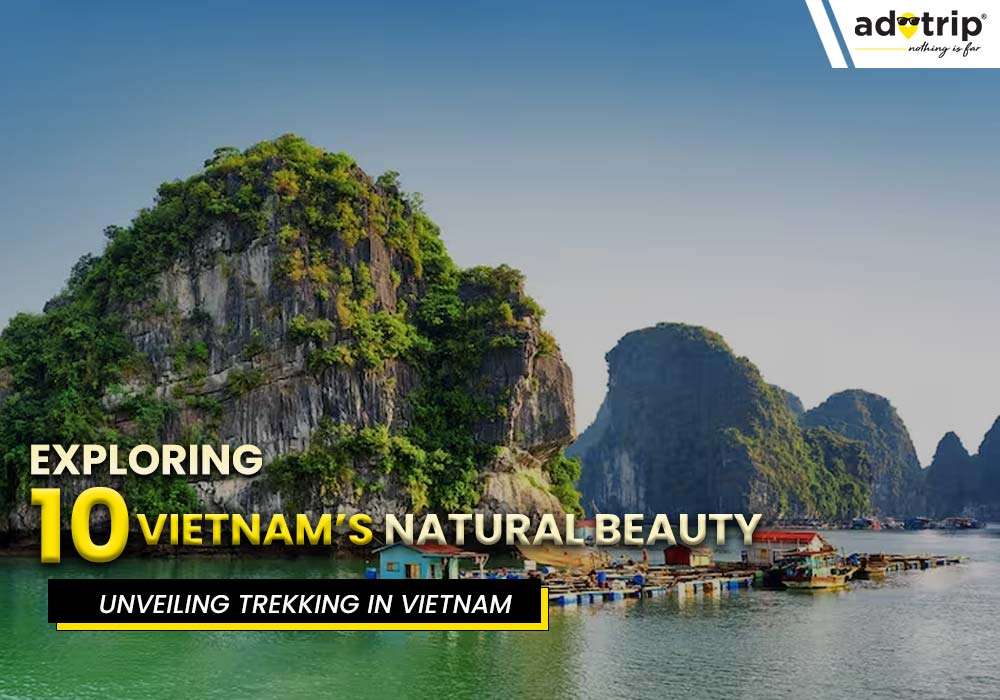 Top 10 Trekking Places In Vietnam