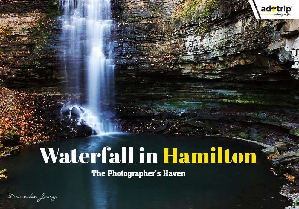 Famous Waterfall In Hamilton