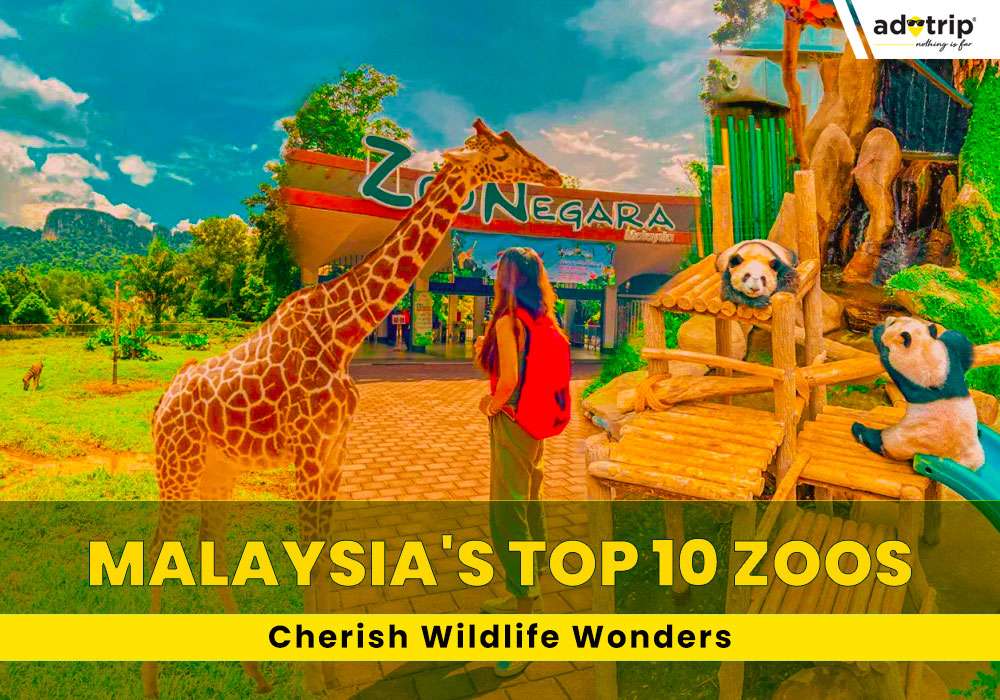 Zoos In Malaysia