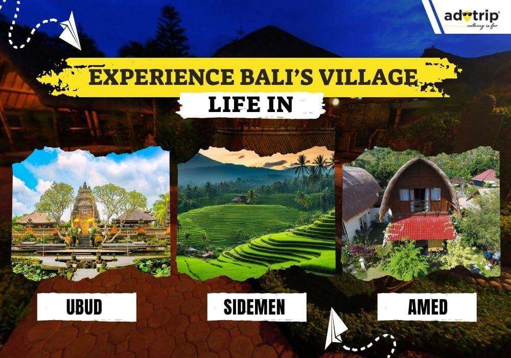 Experience Bali Village Life