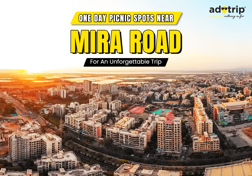 Mira-Road_1000x700