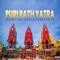 Puri_Rath_Yatra_Significance_and_Interesting_Facts