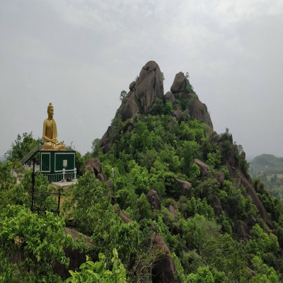 डोंगरगढ़ पैकेज टूर