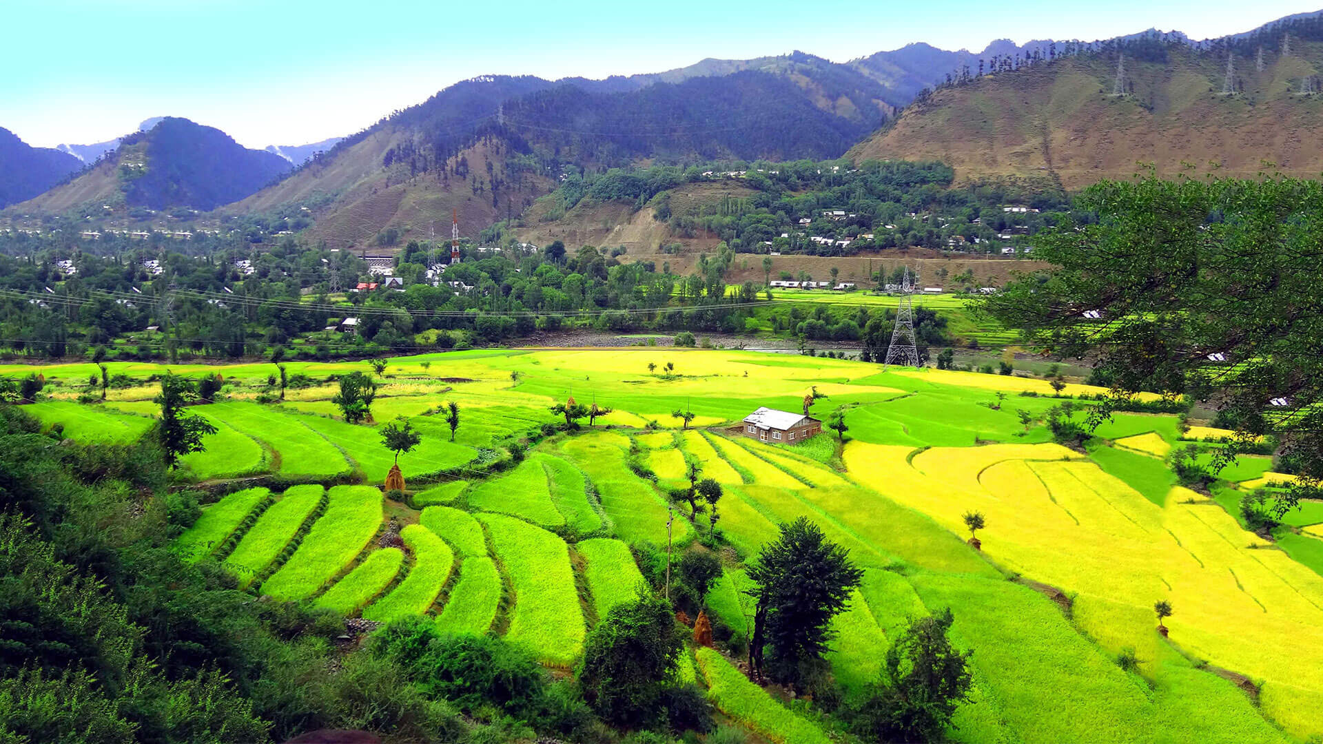 Rajouri