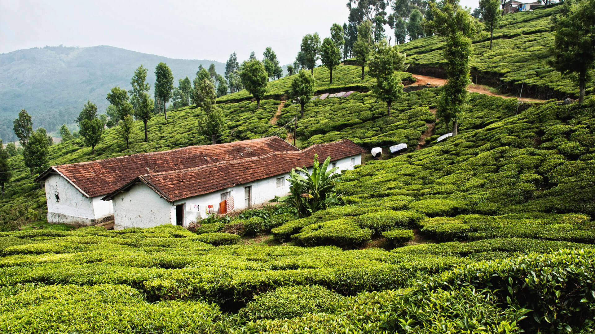 ooty tour from hyderabad