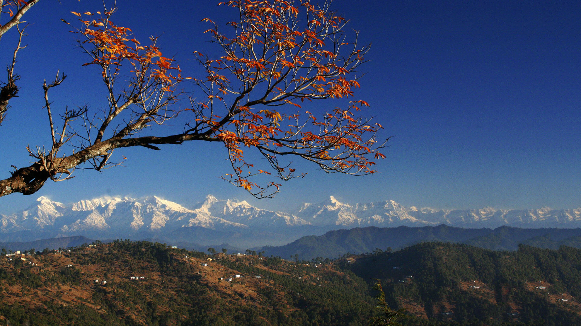 tourist place in almora