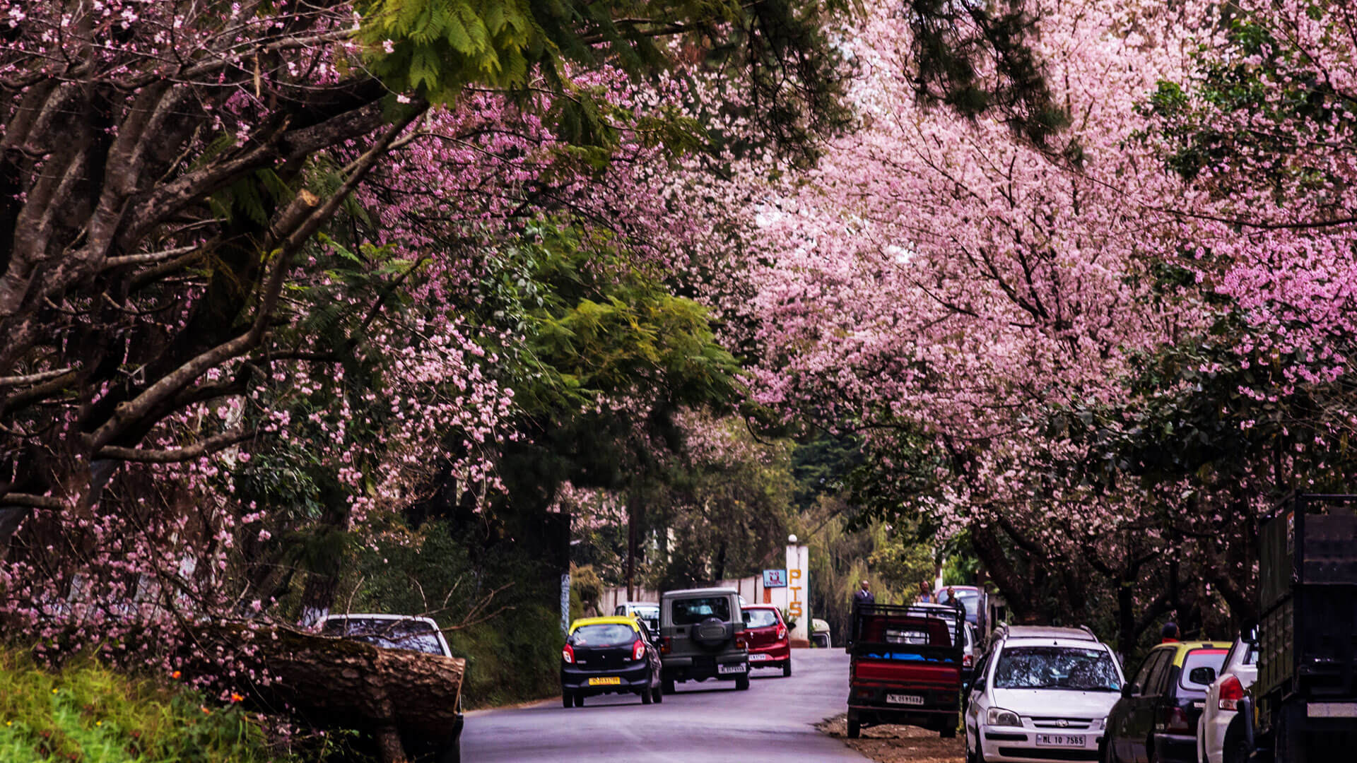 Shillong