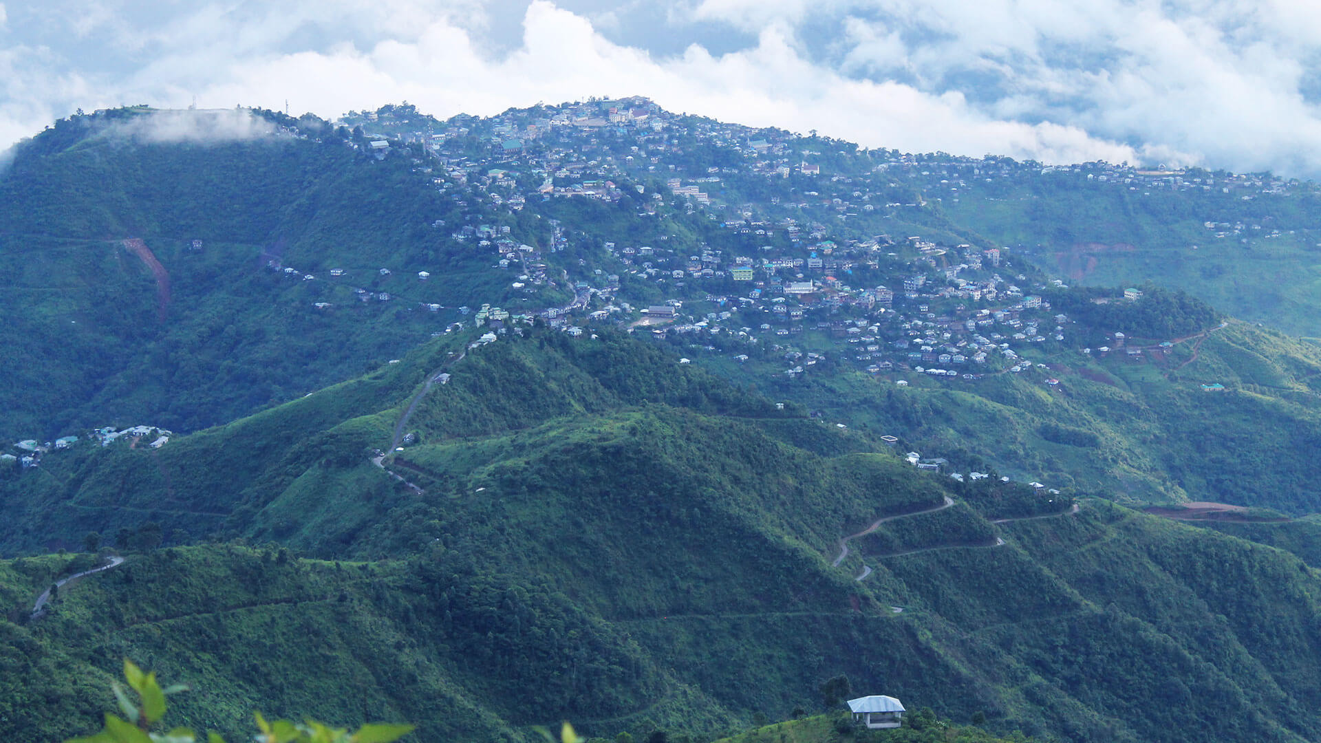Siaha