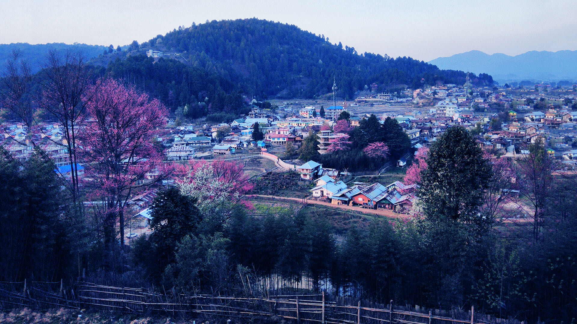 ziro valley tourist places